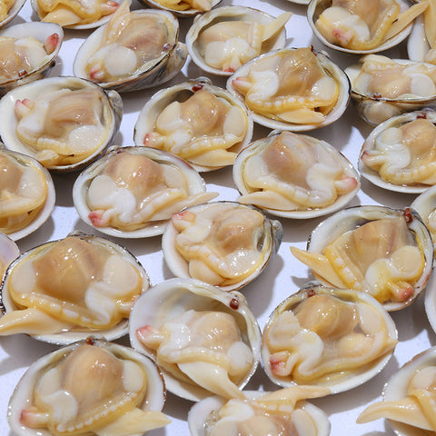 Clams in "Natural" Juice 300 - 500 Frozen - Low Sodium